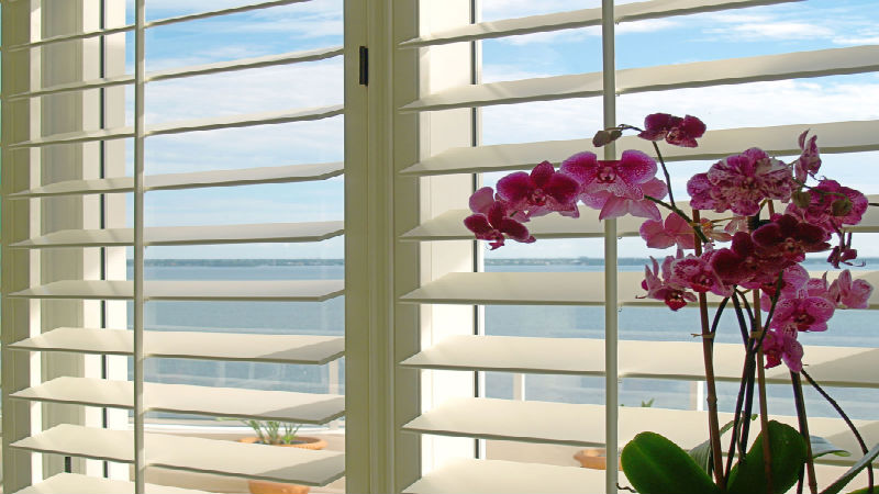 Advantages of Installing Shutter Window Blinds in Bradenton, FL