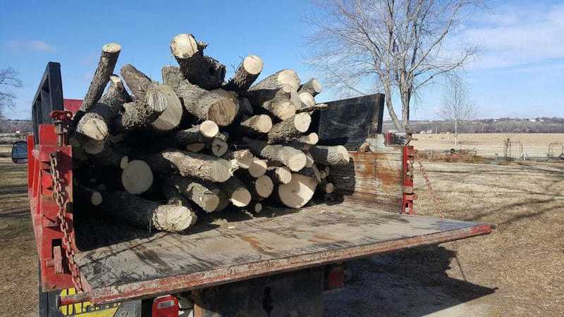 Expert Tree Cutting in Wamego, KS is Easy to Find and Affordable