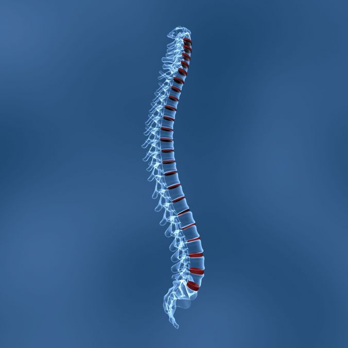 Conditions That Could Cause Back Pain in Residents of Jacksonville, FL