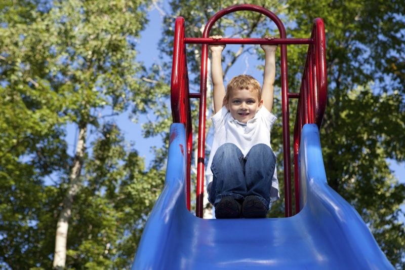 Outdoor Safety: Carpenter Bees and Wooden Swingsets What You Should Know