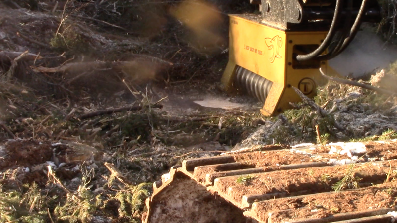 See Why an Excavator Mulching Head can be the Best Tool