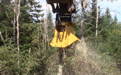 Using a Mini Excavator Brush Cutter