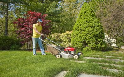 Achieve A Lush Lawn Instantly With Professional Sod Installation in St. Louis, MO